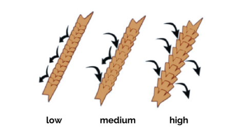 HOW TO DETERMINE HAIR POROSITY AND WHAT IT MEANS FOR YOUR HAIR - Clever Curl